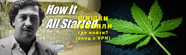 стаф Арсеньев
