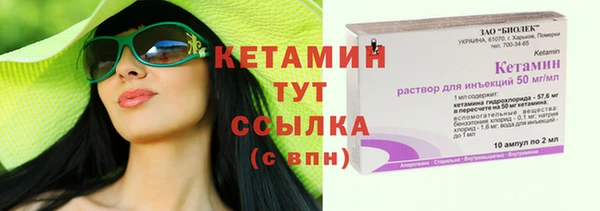 стаф Арсеньев