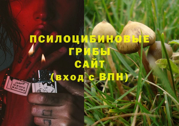 стаф Арсеньев