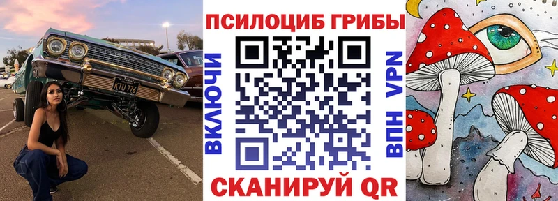 Купить закладки  Сясьстрой  Галлюциногенные грибы прущие грибы 